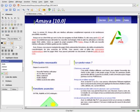 Amaya Webseiten Editor