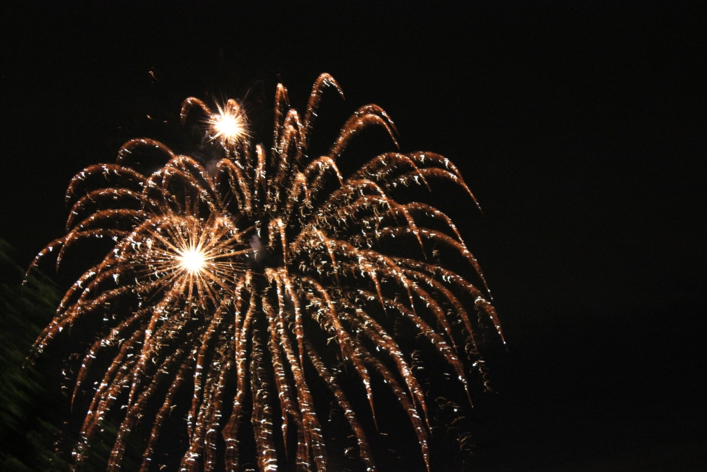 Kostenlose Feuerwerk Bilder Fotos Zum Download Gif Bilder De